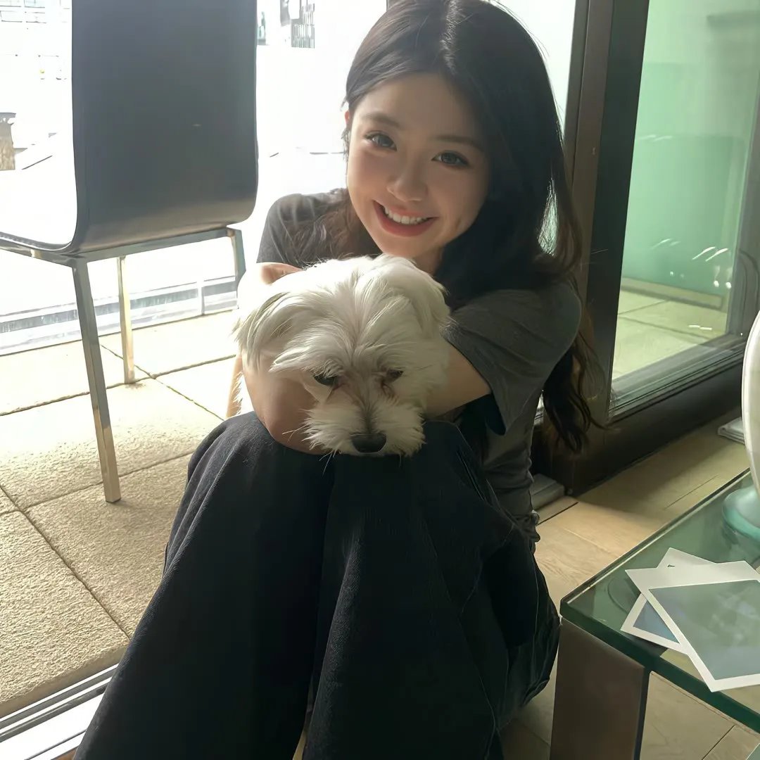 团子大家族第一季