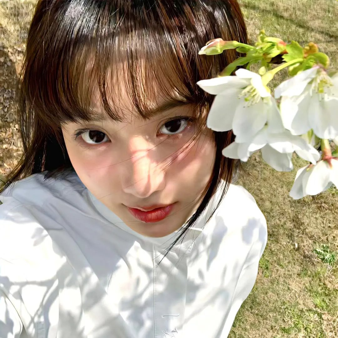 灰花